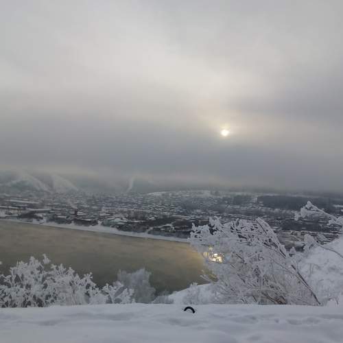 Photo #10014915