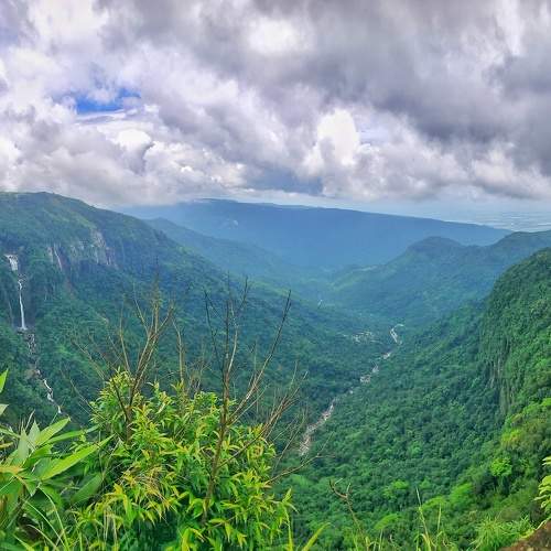 Photo #10014980