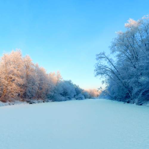 Photo #10015077