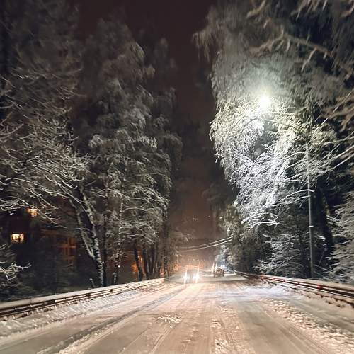 Photo #10015346