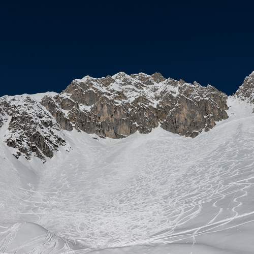 Photo #10015457