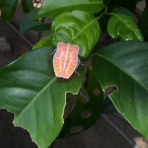 Photo #10015626