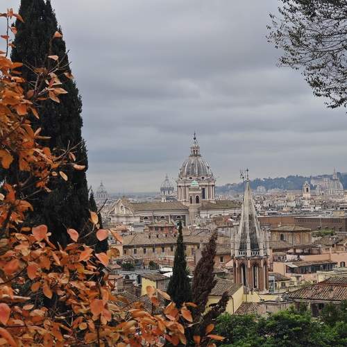 Photo #10015768
