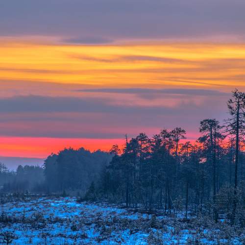 Photo #10015783