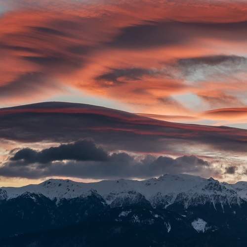 Photo #10015806