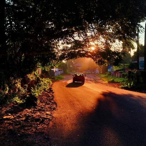 Photo #10015979