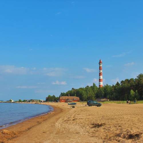 Photo #10016025