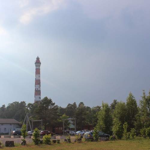 Photo #10016027