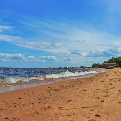 Photo #10016050