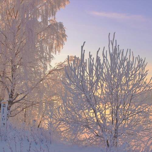 Photo #10016084