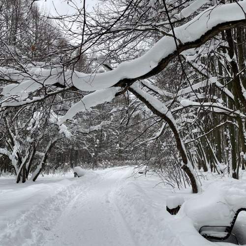 Photo #10016096