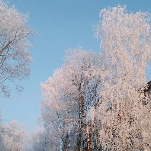 Photo #10016303