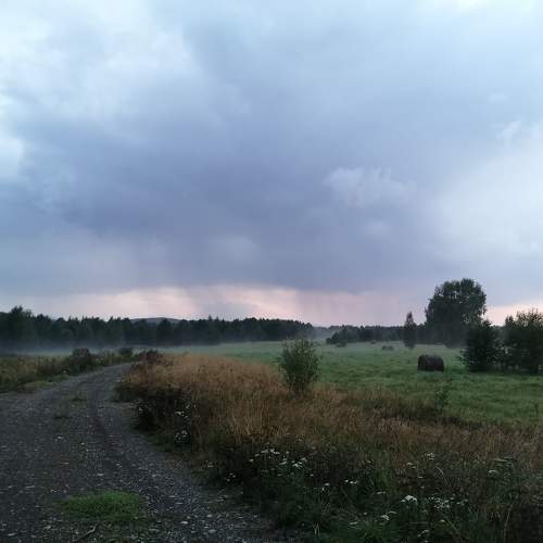 Photo #10016547