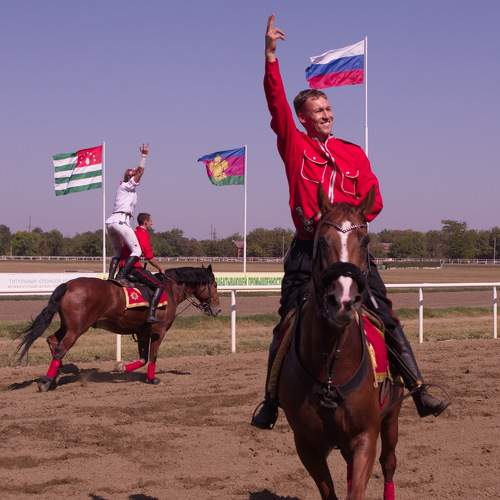 Photo #10016770
