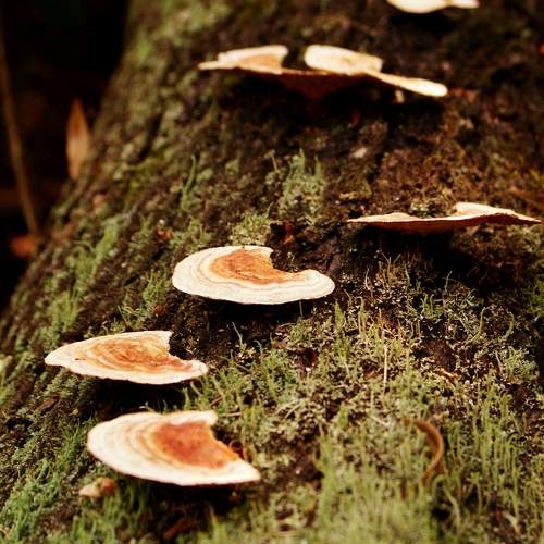 Photo #10016895