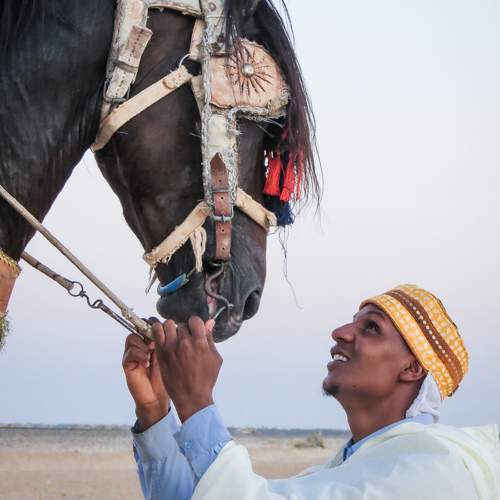 نظرات الحب