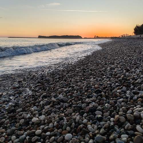 Photo #10016987