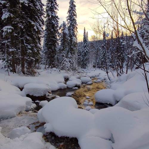 Photo #10017112