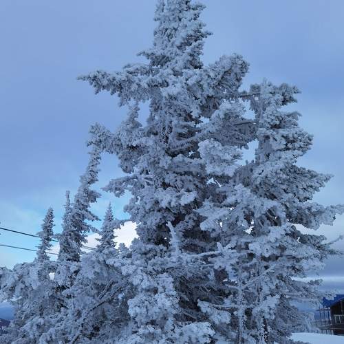 Photo #10017168