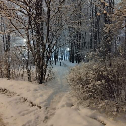 Photo #10017594
