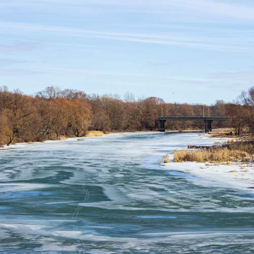 Photo #10017828