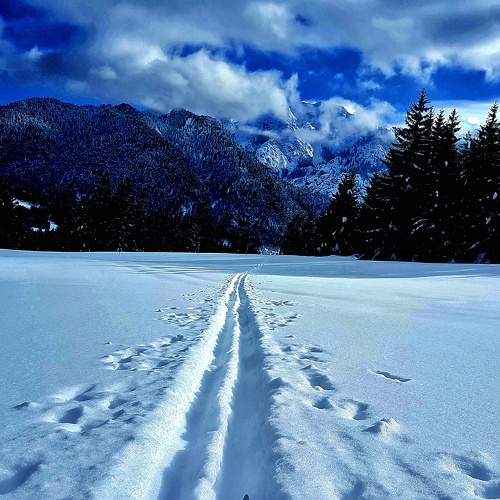 Photo #10017923