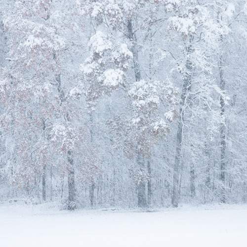 Фотография #10017988