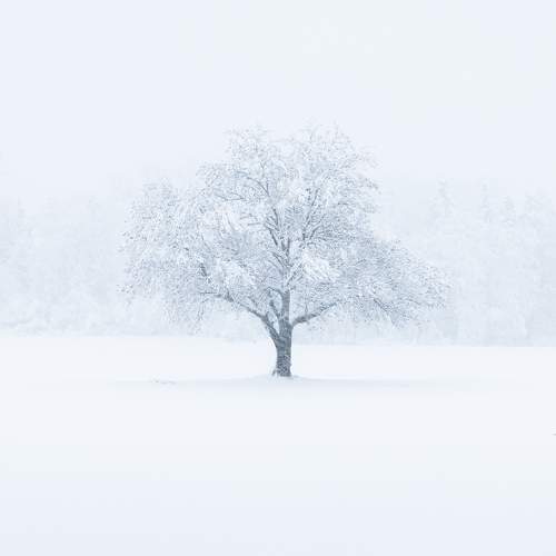 Фотография #10017989