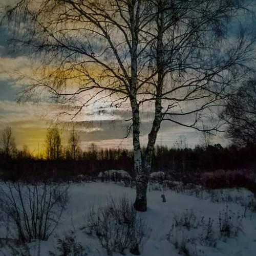 Photo #10018059