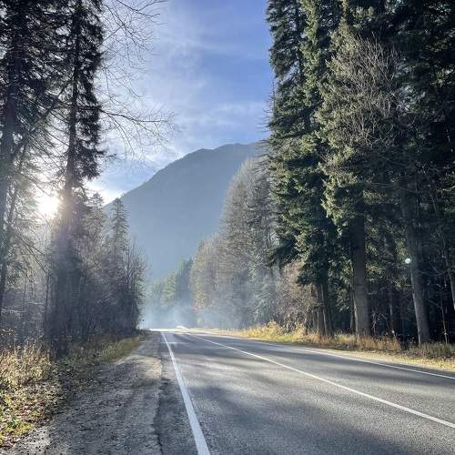 Photo #10018084