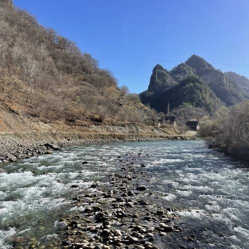 Photo #10018088