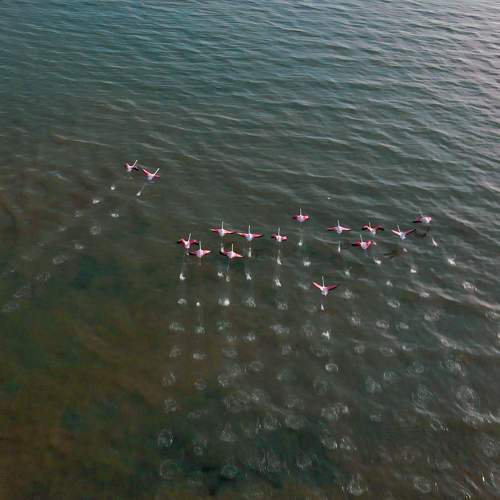 Photo #10018149