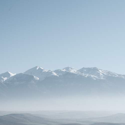 Photo #10018176