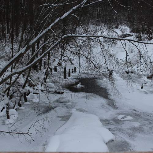 Photo #10018318