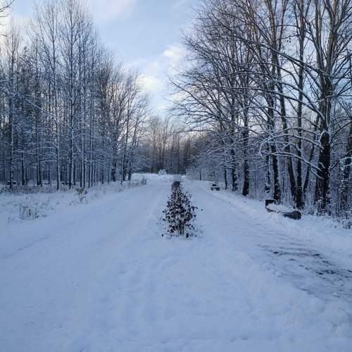 Photo #10018347