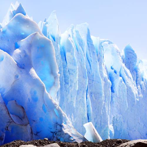 Photo #10018464