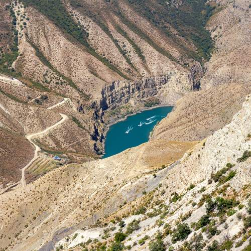 Photo #10018518