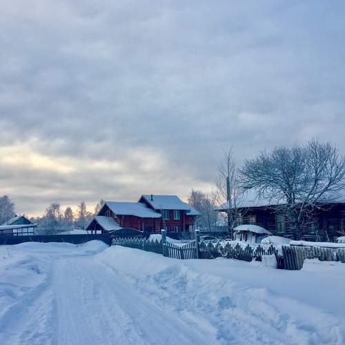 Photo #10018524