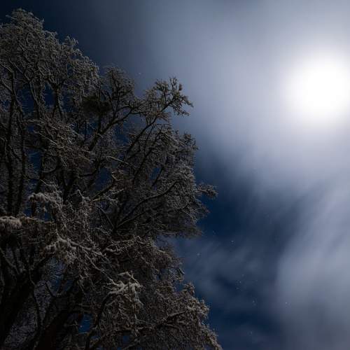 Photo #10019036