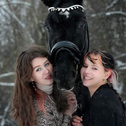 Photo #10019497