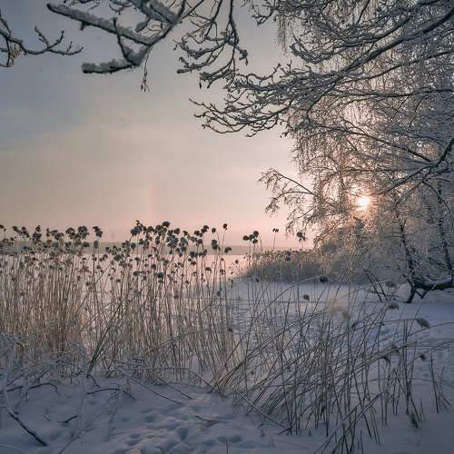 Photo #10019540