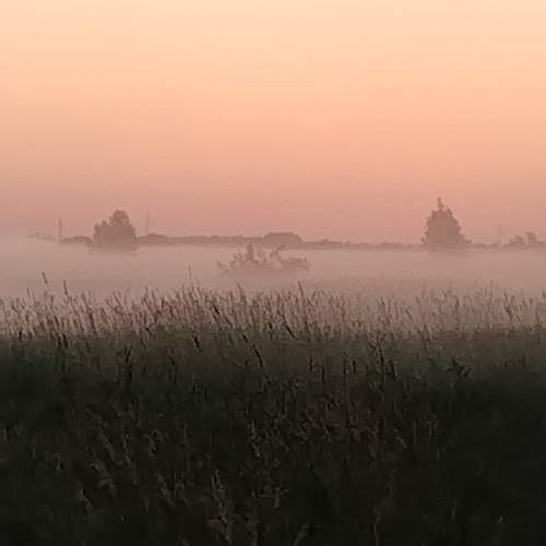 Photo #10019563