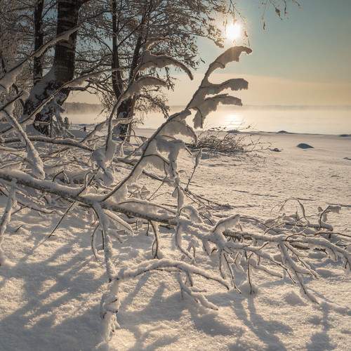 Photo #10019589