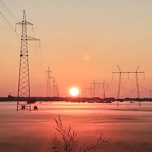 Photo #10019590