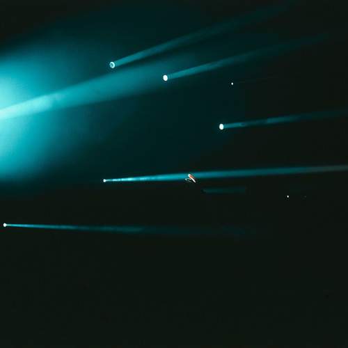 Photo #10019710