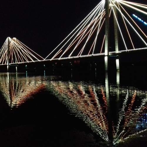 Photo #10020054