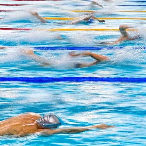 Photo #10020469