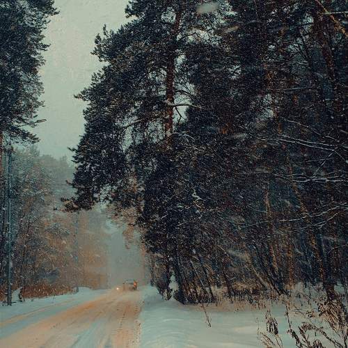 Photo #10020484