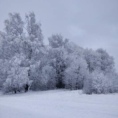 Photo #10020579
