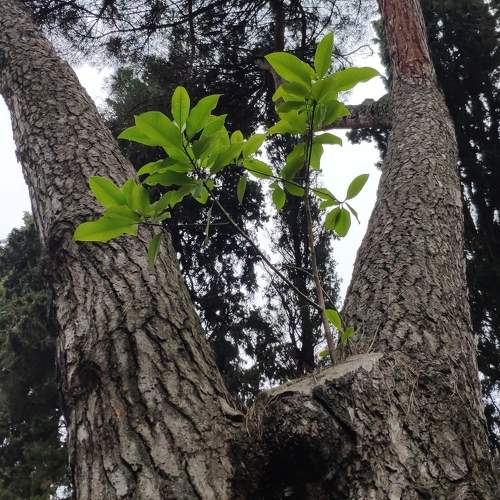 Photo #10020723